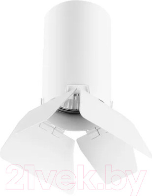 Потолочный светильник Lightstar Rullo R436436