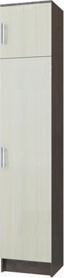 Шкаф-пенал Памир ПЛ-4 2-х створчатый в прихожую (венге/дуб белфорт)