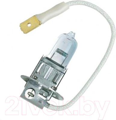 Автомобильная лампа Bosch 1987301006