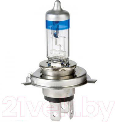 Автомобильная лампа Bosch 1987301077