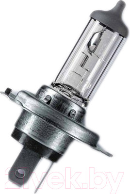 Автомобильная лампа Bosch 1987302021