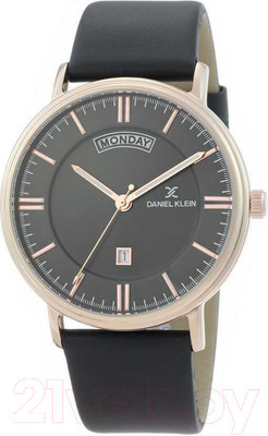 Часы наручные мужские Daniel Klein Premium 12258-4