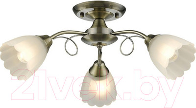 Люстра Velante 708-507-03