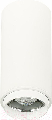 Потолочный светильник ST Luce Zoom ST600.532.10