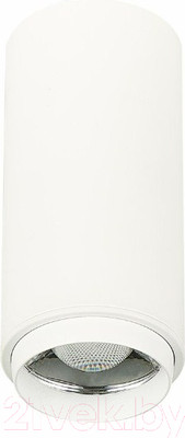 Потолочный светильник ST Luce Zoom ST600.542.10