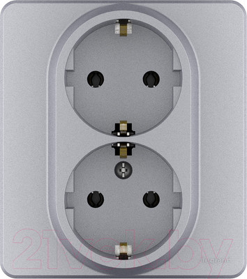 Розетка Legrand Inspiria 673752 (алюминий)