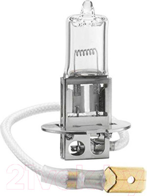 Автомобильная лампа Bosch 1987302031