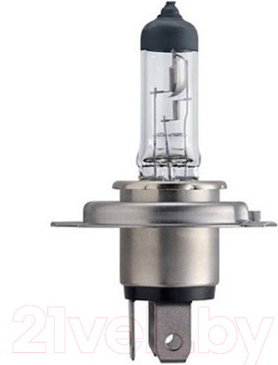 Автомобильная лампа Bosch 1987302041