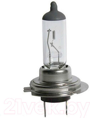 Автомобильная лампа Bosch 1987302071