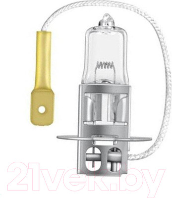 Автомобильная лампа Bosch 1987302431