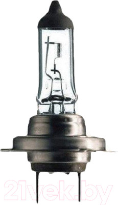 Автомобильная лампа Bosch 1987302471