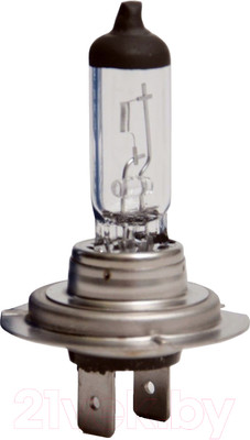 Автомобильная лампа Bosch 1987302804