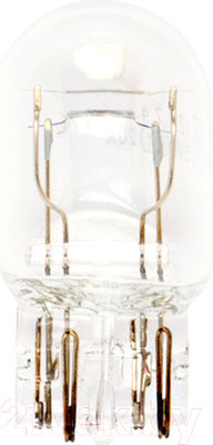 Автомобильная лампа Bosch 1987302823