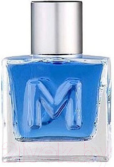 Туалетная вода Mexx Man (30мл)