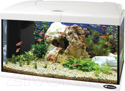 Аквариум Ferplast Capri 60 Led / 65016111 (60л, белый)