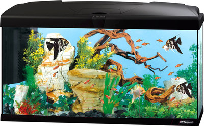 Аквариум Ferplast Capri 80 Led / 65018117 (100л, черный)