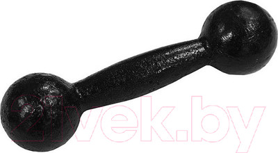 Гантель Титан Литая (5кг)