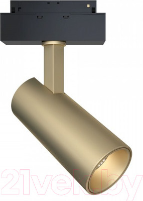 Трековый светильник Maytoni Focus TR019-2-15W3K-MG