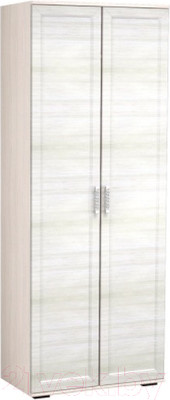 Шкаф Премиум ТВА Александра двухстворчатый