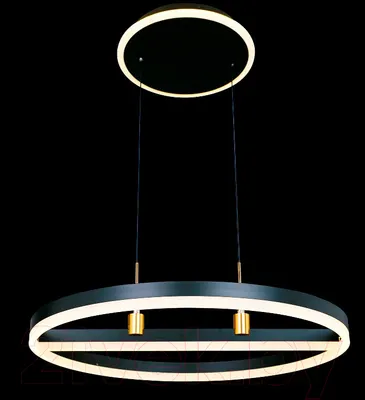 Потолочный светильник Natali Kovaltseva High-Tech Led Lamps 82048 (черный)