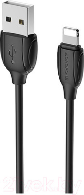 Кабель Borofone BX19 USB Lightning (1м, черный)