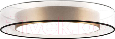 Потолочный светильник Freya Zoticus FR6005CL-L48G