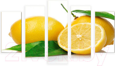 Картина модульная Arthata 5m-613 (160x90)