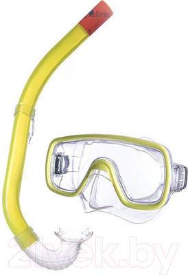 Набор для плавания Salvas Kalua Set / EA151C1TGSTB (Senior, желтый)