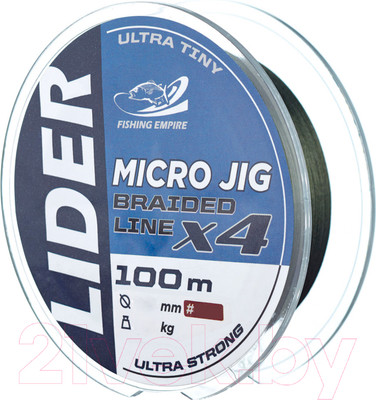 Леска плетеная Fishing Empire Lider Micro Jig X4 0.04мм 100м / MJ-004