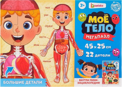 Развивающая книга Буква-ленд Мое тело / 4738871