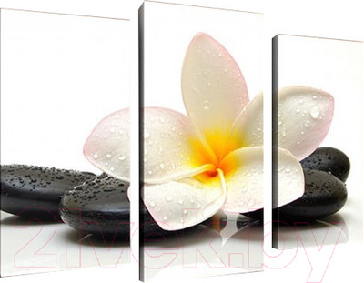 Картина модульная Arthata m-000120 (120x80)