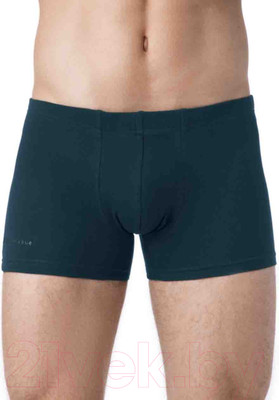 Трусы мужские Alfa Man 6300 (р-р 86-90, аквамарин)