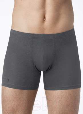 Трусы мужские Alfa Man 6304 (р-р 102-106, серый)