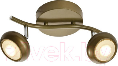 Спот Toplight Carissa TL1244Y-02SG