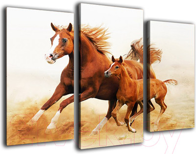 Картина модульная Arthata m-000142 (75x50)