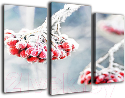 Картина модульная Arthata m-000162 (75x50)