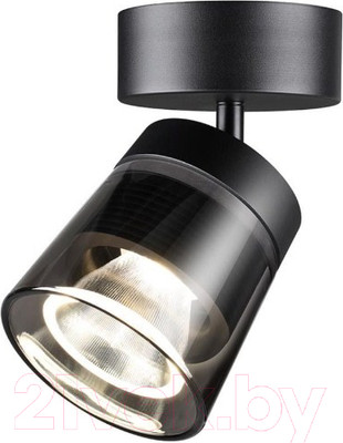 Спот Novotech 358648