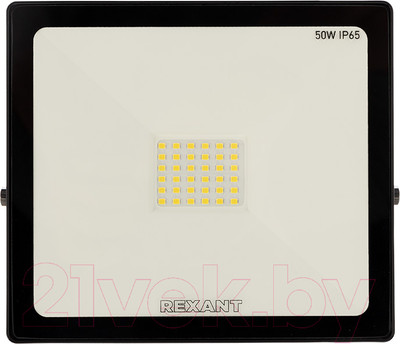 Прожектор Rexant 605-004