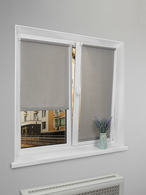 Рулонная штора Lm Decor Шайн LM 42-02 61x160 (серый)