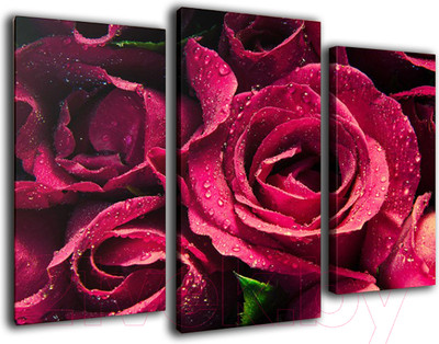 Картина модульная Arthata m-000214 (75x50)