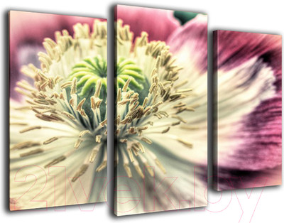 Картина модульная Arthata m-000219 (75x50)