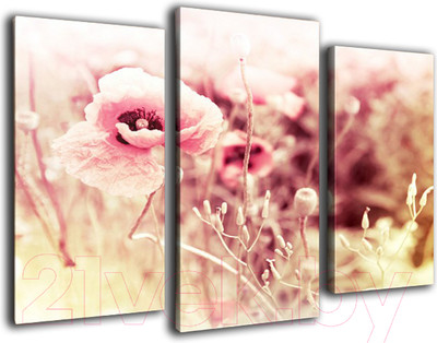 Картина модульная Arthata m-000258 (75x50)