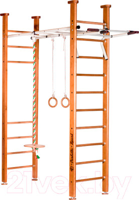 Детский спортивный комплекс Perfetto Sport Molto PS-107