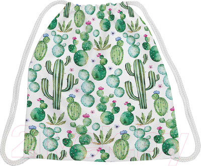 Мешок для обуви JoyArty Кактус акварелью / bpa_30774