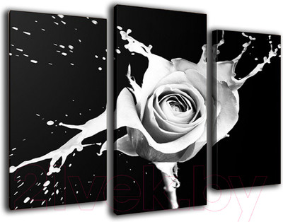 Картина модульная Arthata m-000293 (75x50)