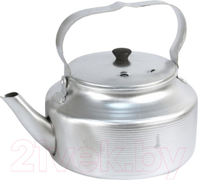 Чайник Эрг-Ал Травленный (3.0л, матовый)