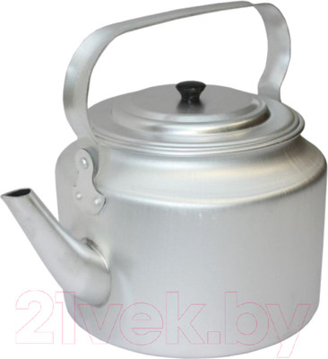 Чайник Эрг-Ал Травленный (5.0л, матовый)