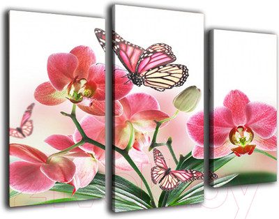 Картина модульная Arthata m-000303 (75x50)