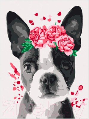 Картина по номерам Юнландия Милая собачка с акриловыми красками / 662508