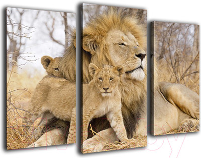 Картина модульная Arthata m-000314 (75x50)